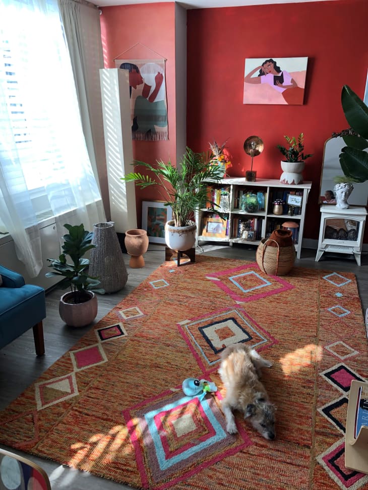 Picture of Warm Paint Colors and Art in a Rental Apartment | Apartment Therapy